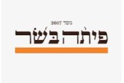 פיתה בשר